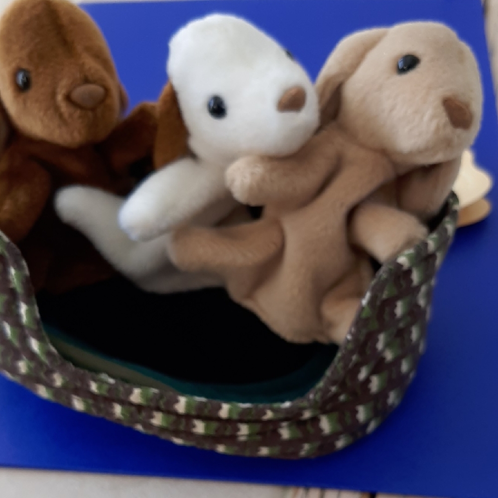 Folkmanis 3 Puppies In A Basket Finfer Puppet NWT